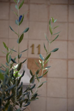 Casa Vacanze Civico 11 Mola Di Bari